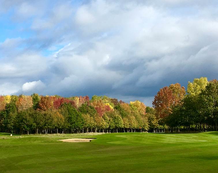 A large green field with trees in the background

Description automatically generated