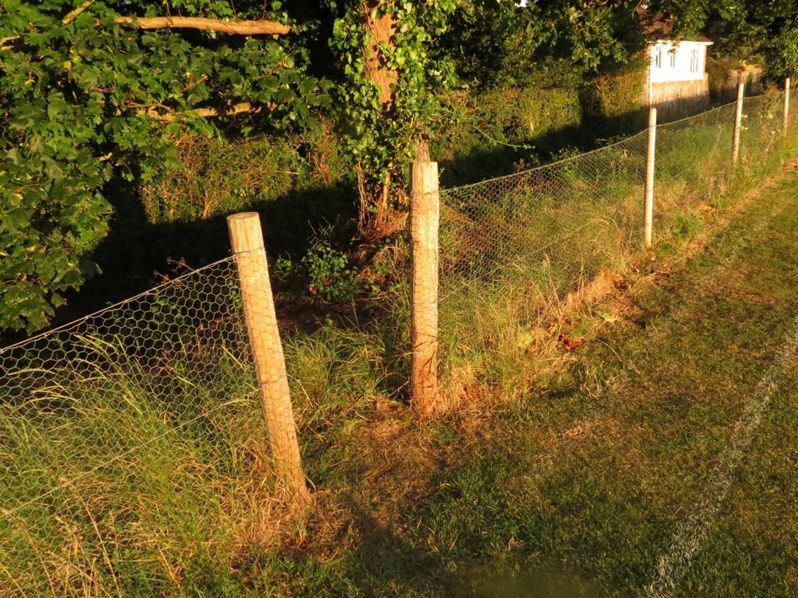 A fence with a fence and trees

Description automatically generated with medium confidence