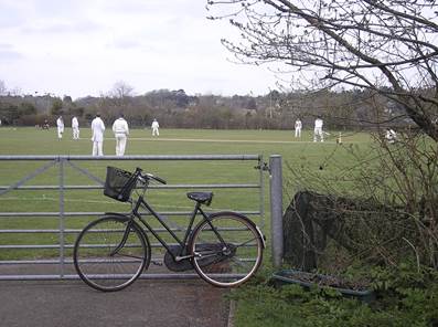 A picture containing grass, outdoor, bicycle, tree

Description automatically generated